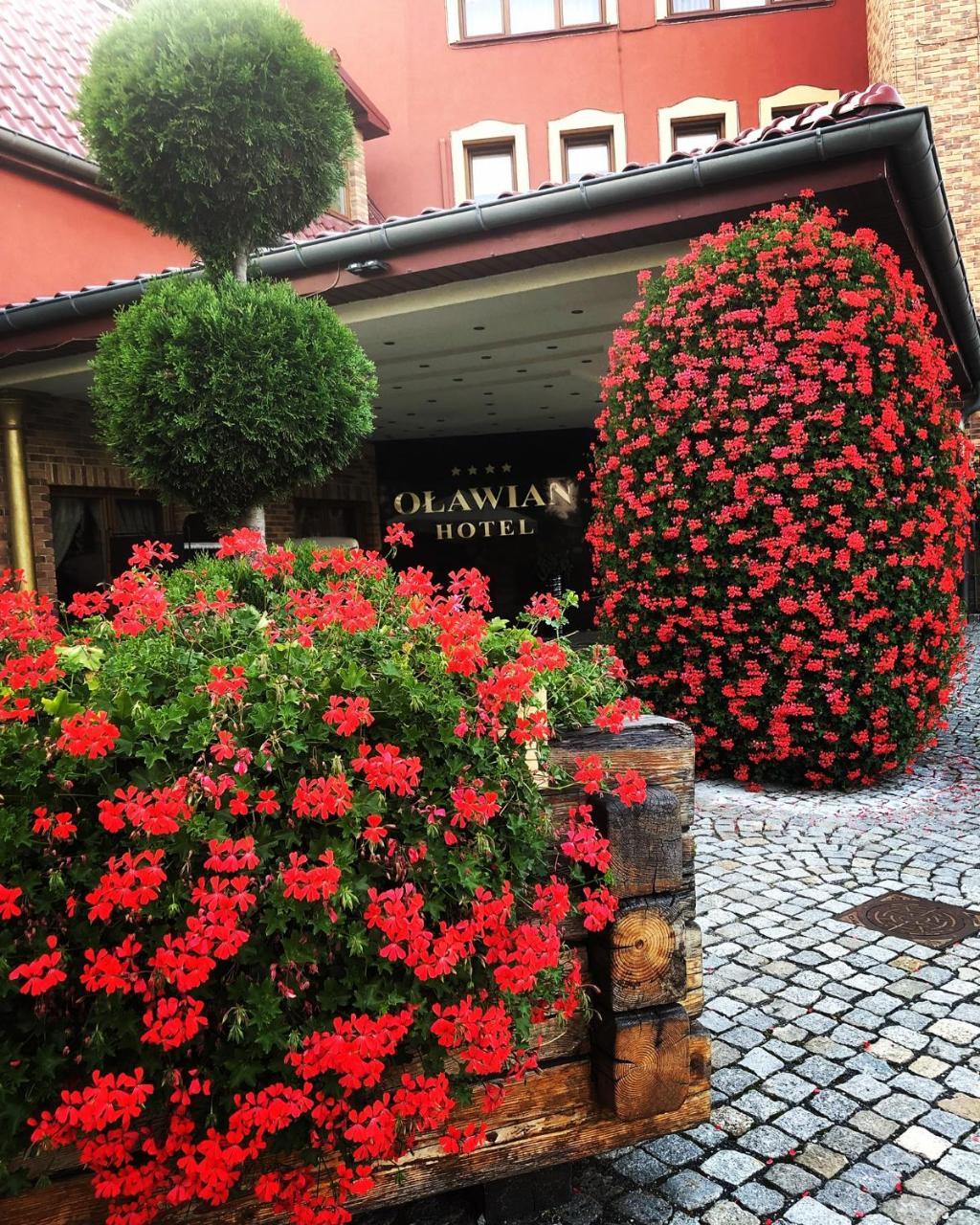 Olawian Hotel Oława Exteriér fotografie